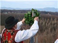 kićenje trsja